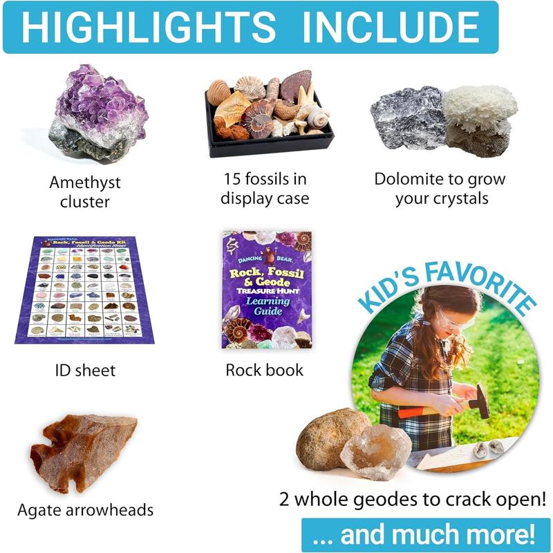 DANCING BEAR Rock, Mineral & Geodes Treasure Hunt Activity Kit (200 Pc Set) Real Shark Teeth Fossils, ID Sheet & Rock Book, STEM