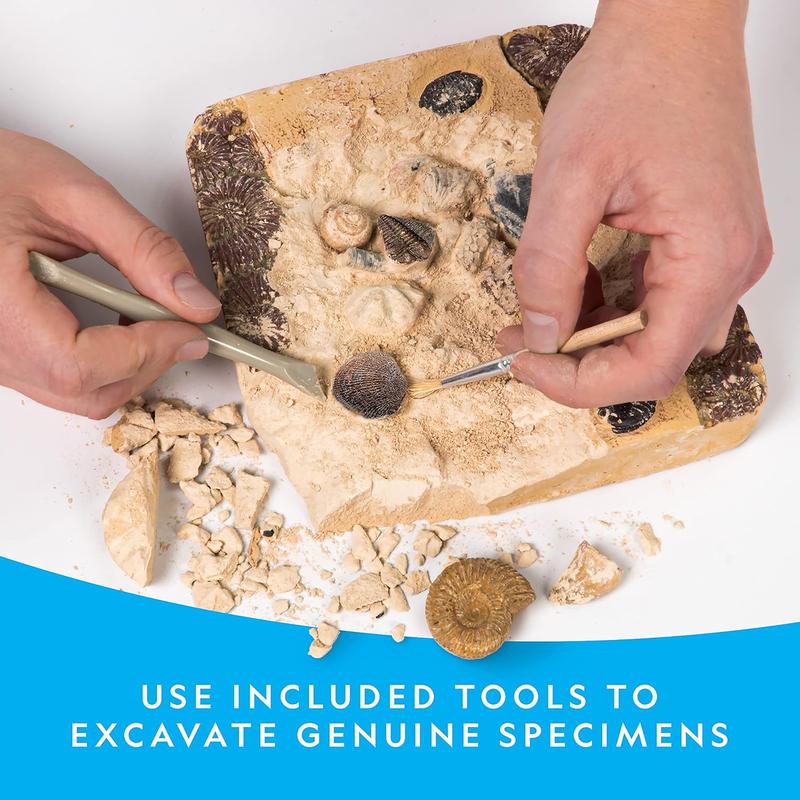 NATIONAL GEOGRAPHIC Mega Fossil Dig Kit - Excavate 15 Genuine Prehistoric Fossils, Kids Fossil Kit, Educational Toys, Great Science Kit Gift for Girls and Boys ( Exclusive)