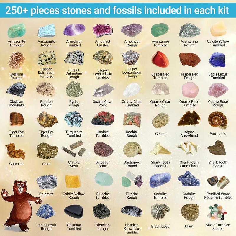 DANCING BEAR Rock, Mineral & Geodes Treasure Hunt Activity Kit (200 Pc Set) Real Shark Teeth Fossils, ID Sheet & Rock Book, STEM
