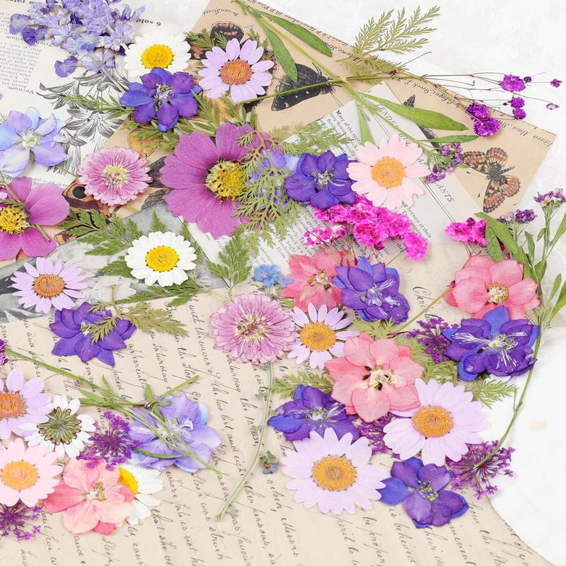 80Pcs Pressed Flowers Bulk Dried Pressed Flowers for Resin Crafts Real Dry Leaves Natural Herbs Kit with Tweezer for Scrapbooking DIY Resin Mould Art Crafts Candle Soap Making Nails Décor