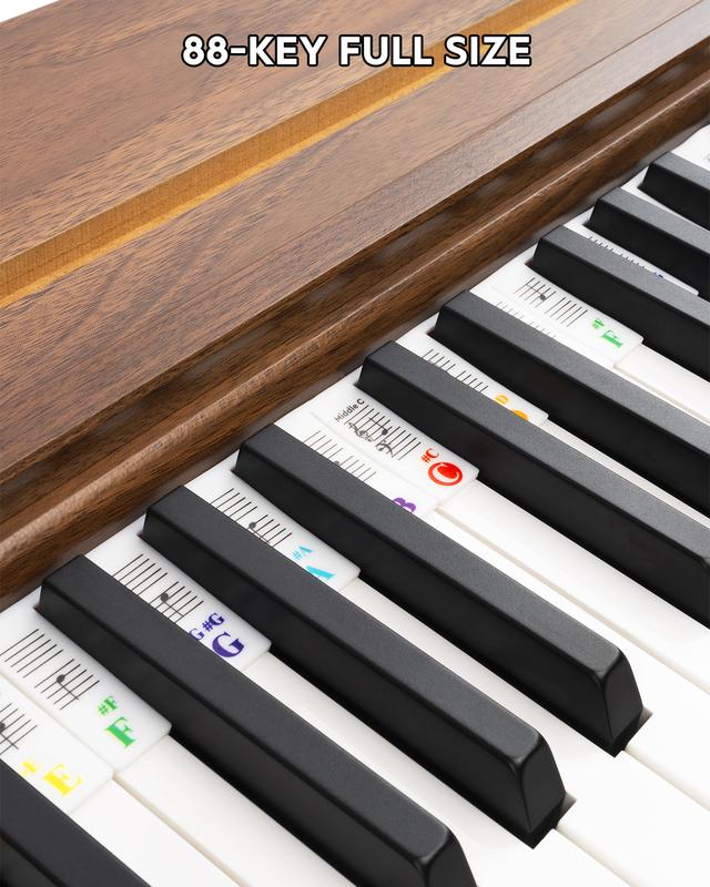 STRICH 88-Key Piano Keyboard Stickers, Bold Large Letter Removable Labels for Beginners and Kids, Multicolor Notes for Easy Learning