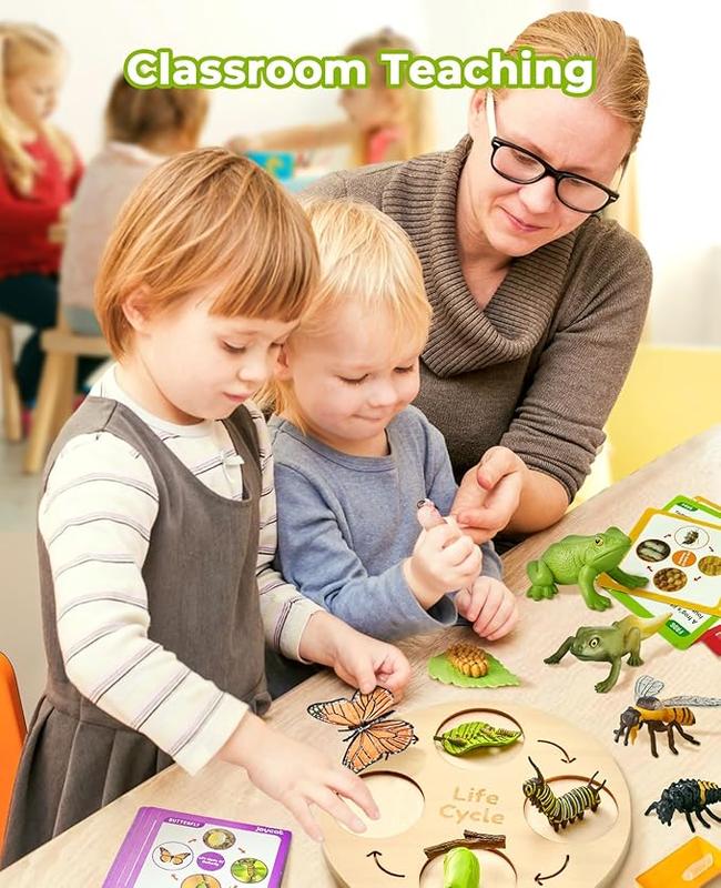 JoyCat Life Cycle Learning Education Toys, Insect Caterpillar to Butterfly kit, Bee, Tadpole to Frog Kit Life Cycle Toy, Preschool Learning Activities